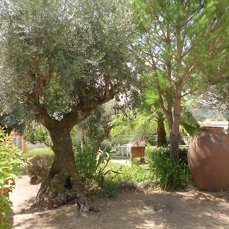 Quinta Do Pinhal Çiftlik konaklama *