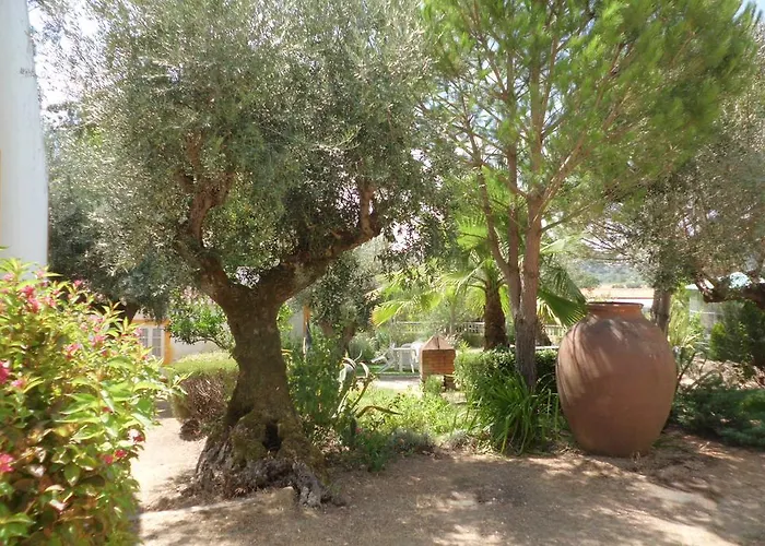 Quinta Do Pinhal Фермерский дом *